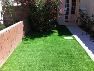 Artificial Grass Photos: Synthetic Pet Grass Menifee California Back and Front Yard